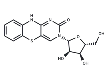 Tricyclic cytosine tC