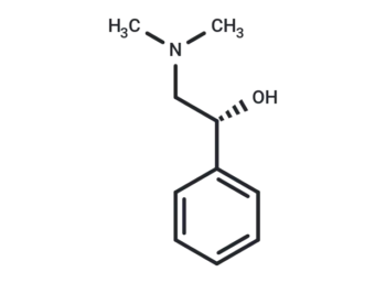 Ubine