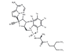 Remdesivir-D5