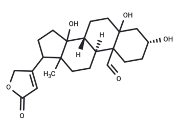 Compound 0407-0016
