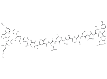 BMP2-derived peptide