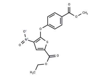 Wu-5