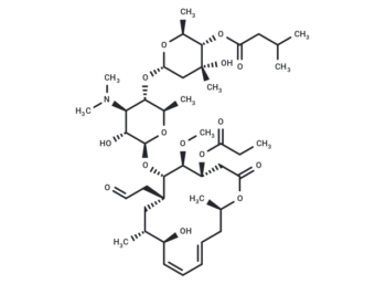 Yl 704 A1