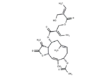 4'-Deoxyprovincialin