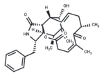 10-Phenyl-[12]-cytochalasins Z16