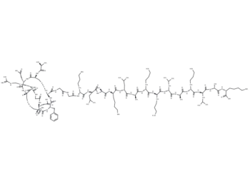 RGD-targeted Proapoptotic Peptide