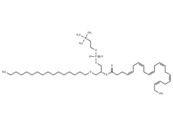 1-O-Hexadecyl-2-O-docosahexaenoyl-sn-glycero-3-phosphorylcholine