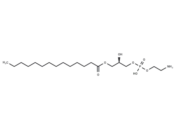 1-Myristoyl-2-hydroxy-sn-glycero-3-PE