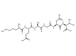 Lys-Gln-Ala-Gly-Asp-Val