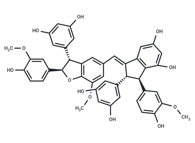 Gnetuhainin N CgoaEGY7P9mEJgbIAAAAAPyCezo181- Immunomart