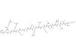 Protein Kinase C (19-35) Peptide