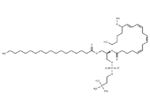 1-Stearoyl-2-15(S)-HpETE-sn-glycero-3-PC
