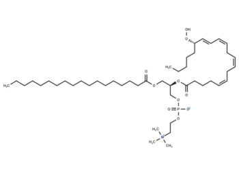 1-Stearoyl-2-15(S)-HpETE-sn-glycero-3-PC
