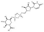 UDP-g acid