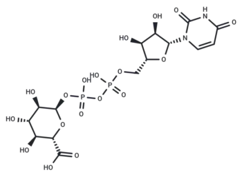 UDP-g acid