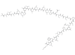 TRAF6 peptide
