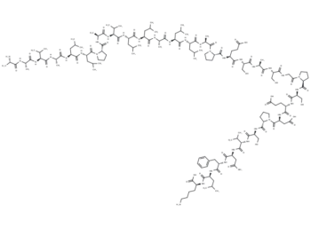 TRAF6 peptide