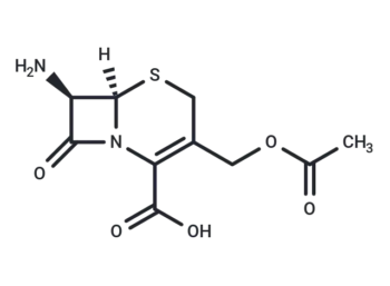 7-Aminocephalosporanic acid