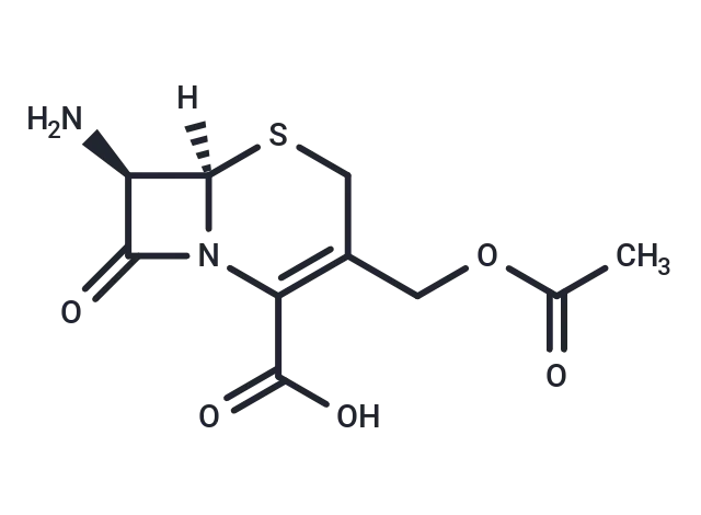 7-Aminocephalosporanic acid