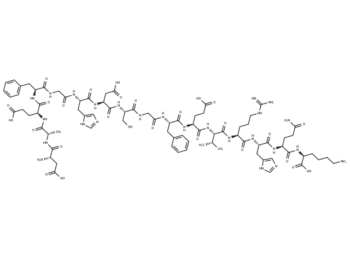 β Amyloid (1-16) rat