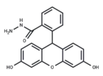 Fluorescein hydrazide
