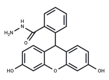 Fluorescein hydrazide