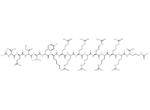 T-Peptide