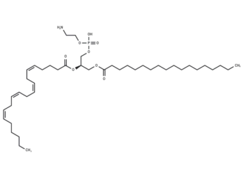 1-Stearoyl-2-arachidonoyl-sn-glycero-3-phosphorylethanolamine