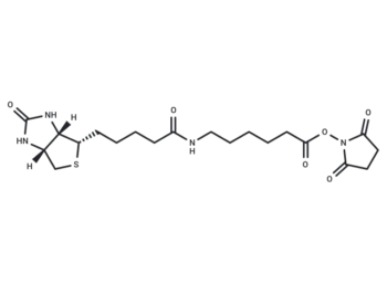 Biotin-C5-NHS Ester