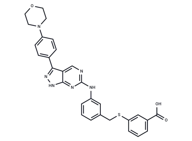 Myosin V-IN-1