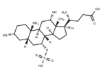 Cholic Acid 7-sulfate