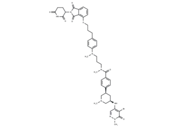 GSK699