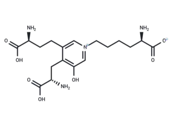 Deoxypyridinoline