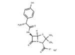 Amoxicillin Sodium