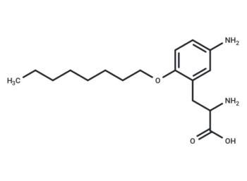 Alanine, 3-(5-amino-2-(octyloxy)phenyl)-