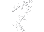 (Des-Glu5)-ACTH (1-24) (human