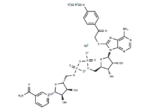 8-(4-azidophenacylthio) NAD+ sodium
