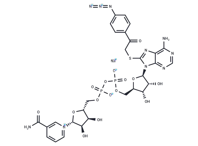 8-(4-azidophenacylthio) NAD+ sodium