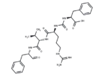SP-Chymostatin B