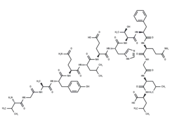 Endokinin D