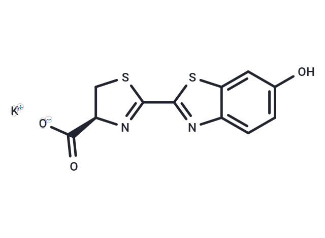 D-Luciferin potassium CgoaEGY7Pe EQ9OKAAAAAMjZ Nw803- Immunomart