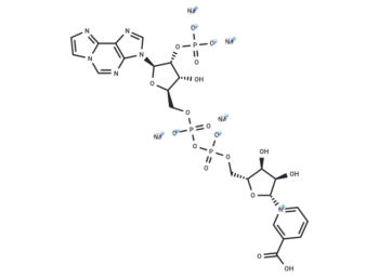 ε-NAADP+ sodium