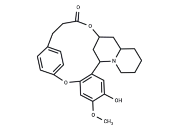 4-Desmethyldecaline