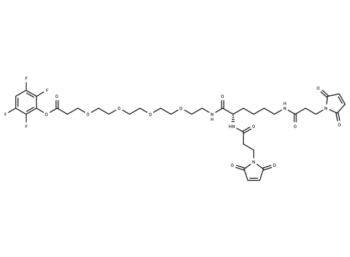 Bis-Mal-Lysine-PEG4-TFP ester