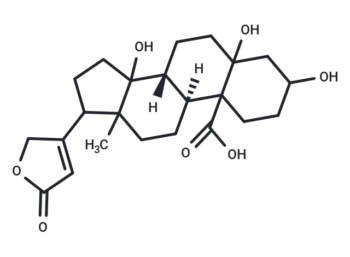 Compound 0449-0101