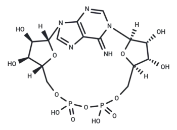 Cyclic ADP-ribose