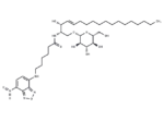 C6 NBD Glucosylceramide