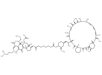 Wortmannin-Rapamycin Conjugate