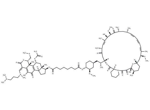 Wortmannin-Rapamycin Conjugate