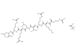 EGFR Peptide (human